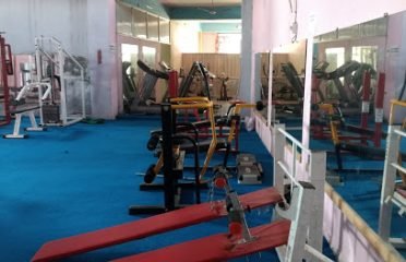 Muscle War Gym