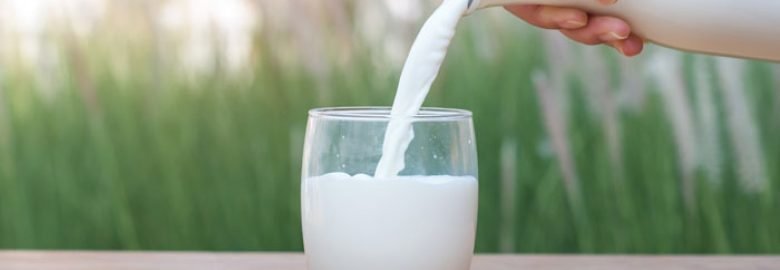 Walia Milk Shop