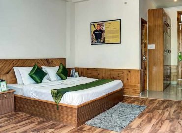 Treebo Trend Celebriti – hotel in Old Manali