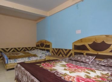 Hotel Krishna Palace