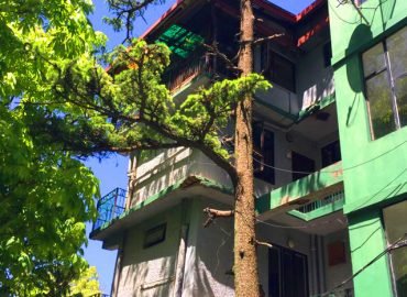 Hotel Woodland