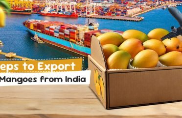 Talala Gir Mango | Wholesaler & Exporter