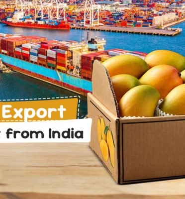 Talala Gir Mango | Wholesaler & Exporter