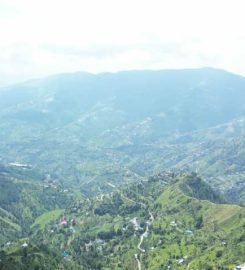 Trikaya Unwind – Destination to Luxury Apartments in Theog, Himachal Pradesh