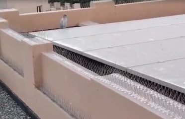 birdcontrol dubai